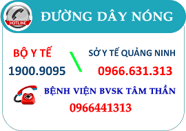 Đường dây nóng